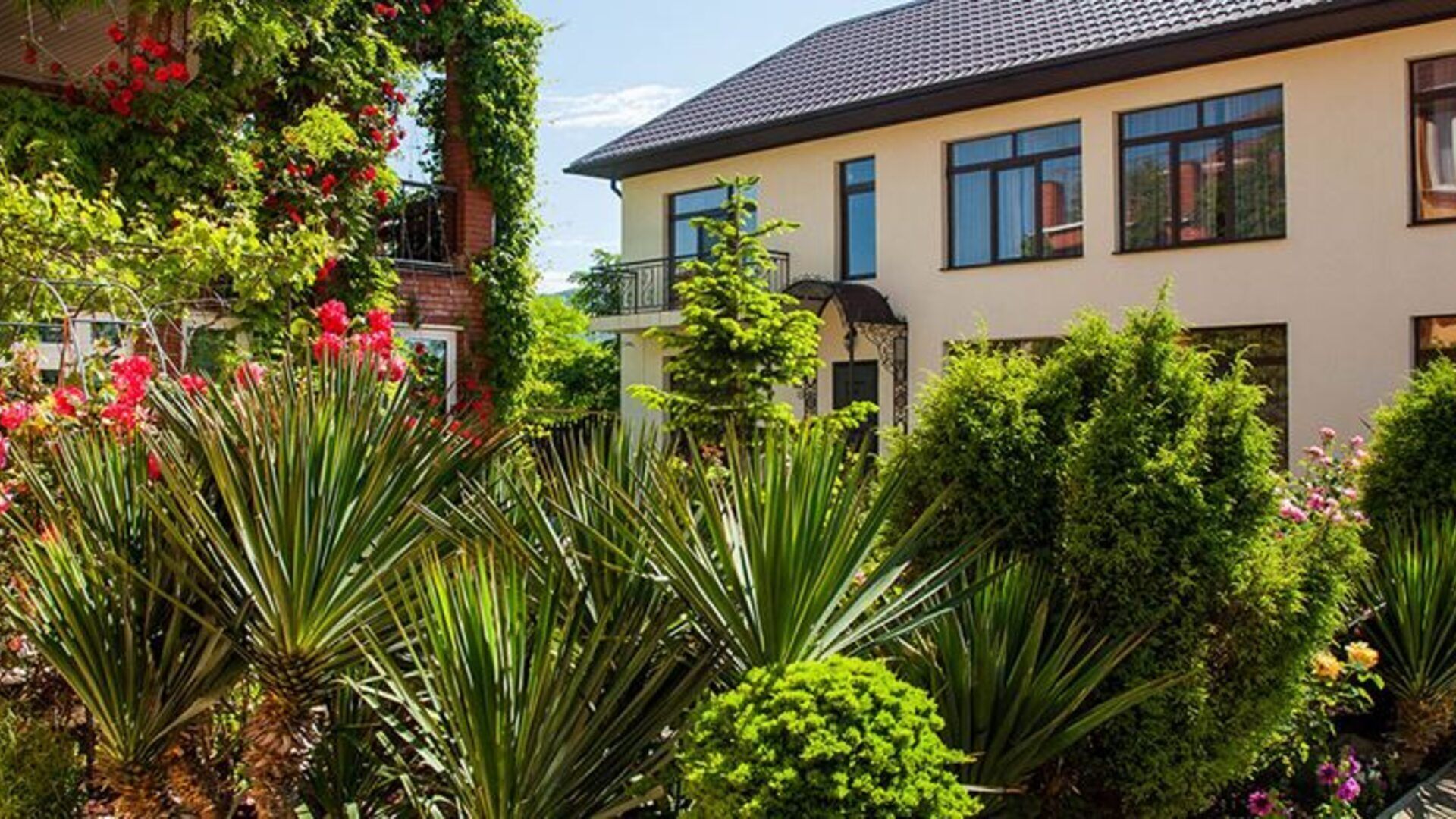 Гостиница Лайм, Геленджик, Территория