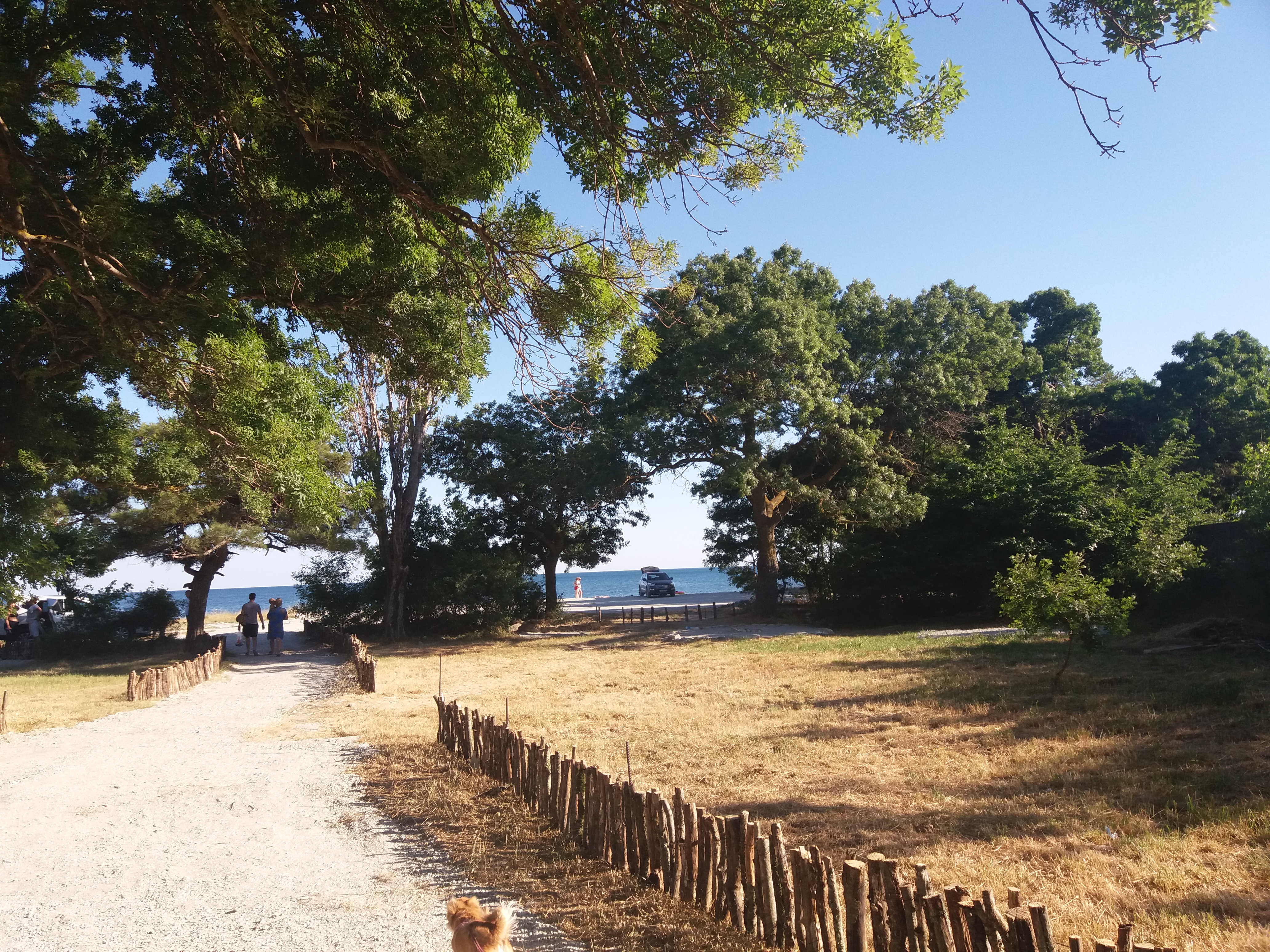 Гостиница "Лайм", Геленджик, пляж