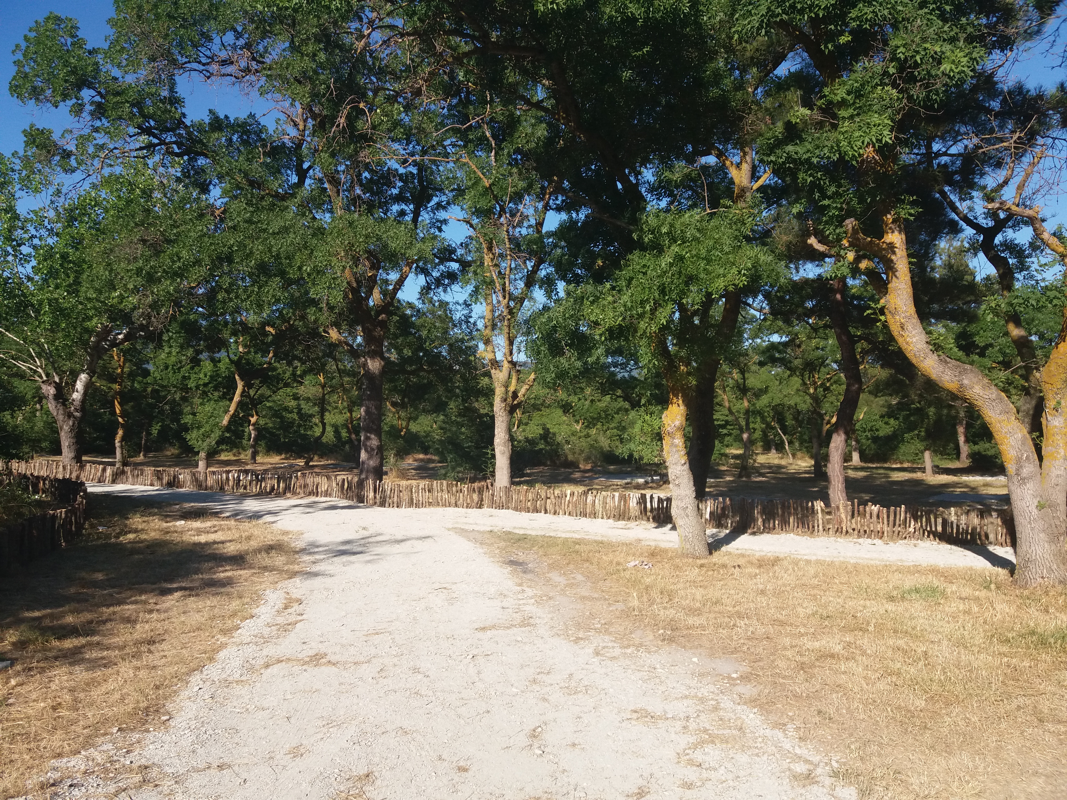 Гостиница "Лайм", Геленджик, пляж