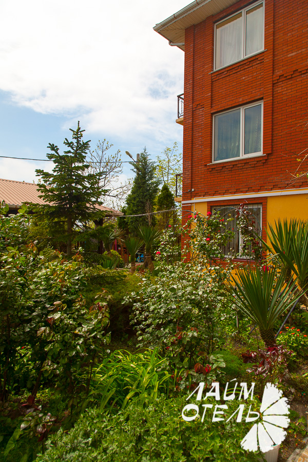 Гостиница "Лайм", Геленджик, Территория, май 2019