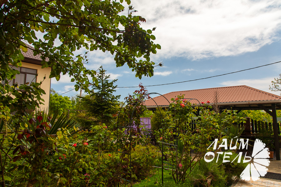 Гостиница "Лайм", Геленджик, Территория, май 2019